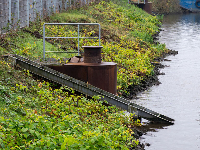 Dalben am Kalihafen